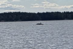 20250825_141259-scaled