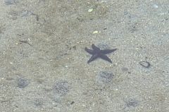 20250827_173102-scaled